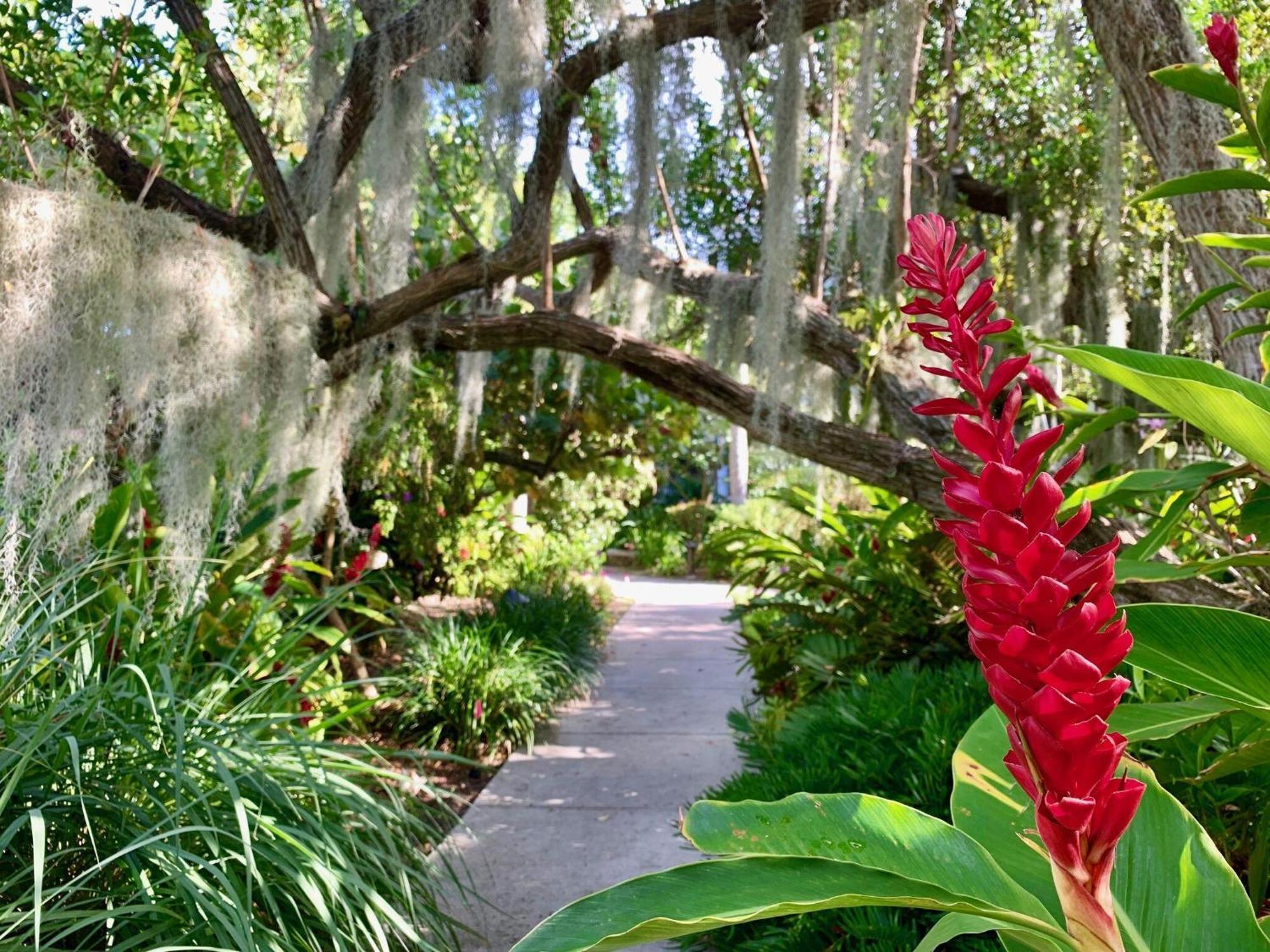 Beautifully Renovated Summer Of 2020 Come And Enjoy This Lovely Unit Key West Exterior foto